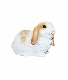 兔子粉刷孤立的白色背景