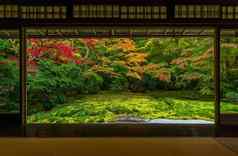 色彩斑斓的秋天日本花园琉璃院寺庙《京都议定书》