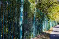 栅栏花园植物金属蓝色的栅栏