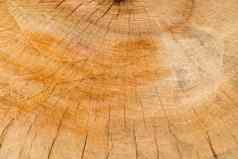 木背景减少树模式纹理减少干树树年龄环裂缝木背景