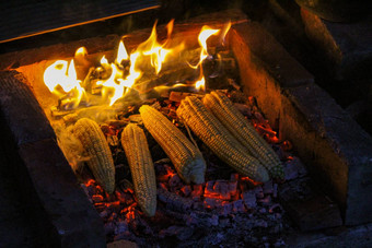 新鲜收获玉米烤火背景传统的烤玉米波斯尼亚