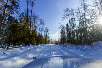 视图车山蜿蜒的白雪覆盖的山松柏科的树日益增长的边缘路