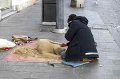 街艺术家使作文狗沙子