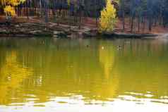 秋天森林反映了湖水
