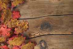 色彩斑斓的秋天叶子棕色（的）木背景