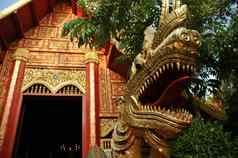 金龙泰国风格龙雄伟的黄金寺庙