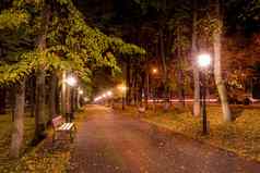 晚上秋天公园下降叶子人行道上长椅