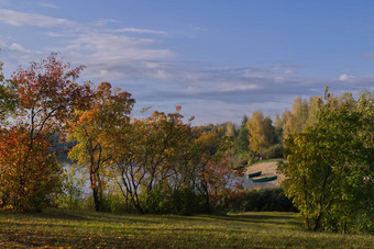 秋天秋天景观色彩斑斓的树叶