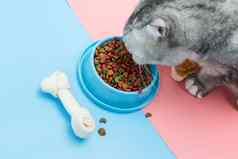 猫吃干食物零食