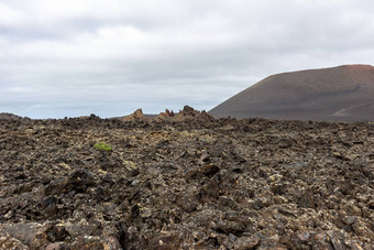 视图<strong>火山</strong>景观蒂曼法亚国家公园金丝雀