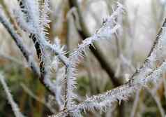 美丽的冬天拍摄湖森林雪冰