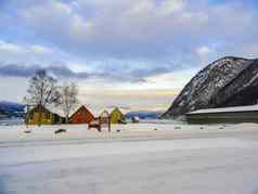 维克滑雪场罗伊桑挪威美妙的视图Sognefjord冬天