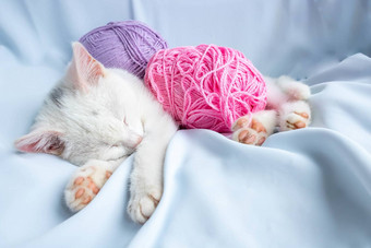 小白色小猫睡觉球淡紫色线程小猫玩下降了睡着了