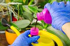 园丁肥料首页兰花植物室内植物护理女人浇水兰花花做家务植物护理概念首页园艺