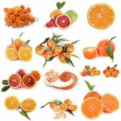 柑橘类水果工作室