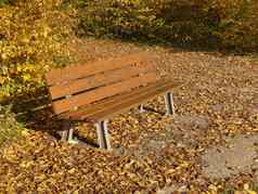 公园板凳上秋天的太阳下降叶子