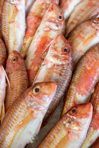 红色的鲻鱼收藏冰海鲜市场