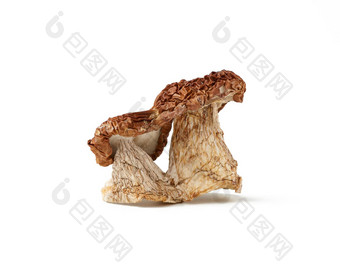 干porcini蘑菇孤立的白色背景