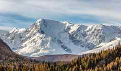 风景优美的全景空中视图雪山山峰山坡上北chuyskiy脊金树前景美丽的蓝色的多云的天空背景阿尔泰山西伯利亚俄罗斯