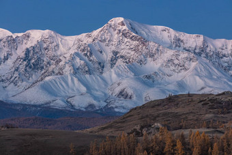 美丽的拍摄白色雪山山树前景秋天时间日出蓝色的小时阿尔泰山俄罗斯