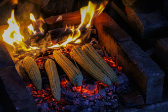 鸡眼新鲜收获玉米烤火烟背景传统的烤玉米波斯尼亚