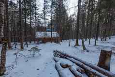 原始的自然泽亚储备木冬天小屋站泰加林雪地里