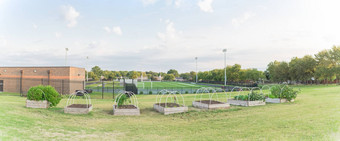 全景行提高了床上花园足球场背景小学学校美国