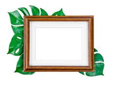 空白木照片框架绿色叶孤立的白色引入