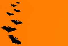 橙色背景群黑色的纸蝙蝠万圣节黑色的纸蝙蝠轮廓橙色背景万圣节概念Copyspace平铺前视图开销
