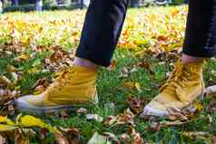 黄色的靴子秋天叶子