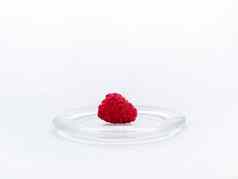 红色的成熟的树莓玻璃迷你板美食甜点