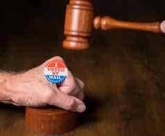 投票邮件运动按钮贴纸手槌子锤说明诉讼投票