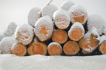 桩减少木日志白色冬天雪日志白色新鲜的雪