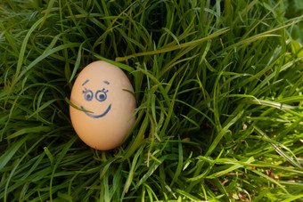 米色鸡蛋微笑眼睛背景新鲜的多汁的绿色草明亮的阳光明媚的照片概念自然生态农业产品广告当地的家禽农场促销活动