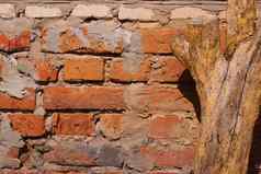 粗糙的摇摇欲坠橙色砖砌的墙破碎的红色的砖灰色的水泥干日志树桩树皮前景复古的粗糙的背景复制空间