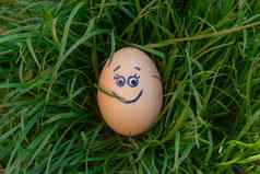 复活节蛋画眼睛微笑谎言明亮的绿色草坪上草有趣的色彩斑斓的春天背景快乐复活节