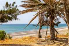 棕榈树海滩木塔里罗兹岛