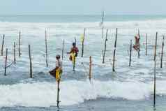 weligama南部省斯里兰卡斯里兰卡高跷渔民美丽的风景南部斯里兰卡斯里兰卡