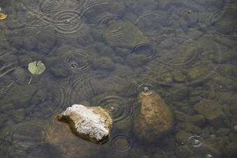 雨滴下降河