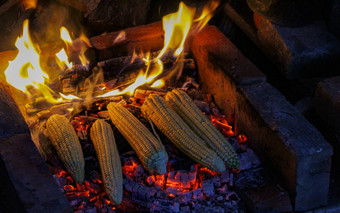 玉米结实的矮新鲜收获玉米结实的矮烤火背景传统的烤玉米波斯尼亚