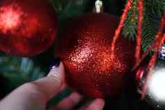 女手持有红色的圣诞节球背景圣诞节树