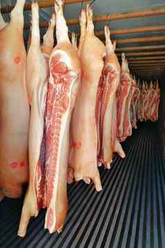 猪肉half-carcasses冰箱垂直拍摄视图前面