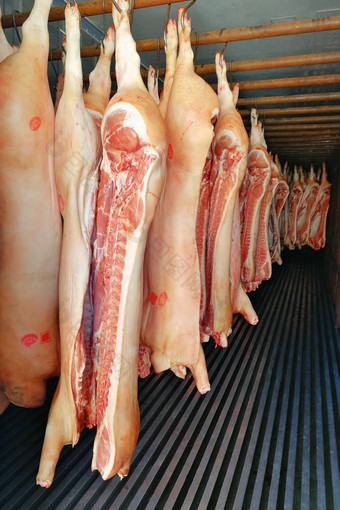 猪肉half-carcasses冰箱垂直拍摄视图前面