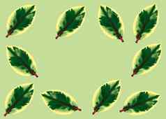 热带榕属植物本杰米尼亚离开插图油漆
