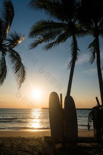冲浪板<strong>椰子树夏天</strong>海滩太阳光