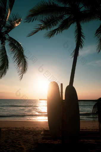 冲浪板<strong>椰子树夏天</strong>海滩太阳光