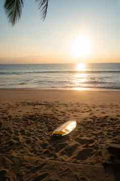 冲浪板椰子树夏天海滩太阳光