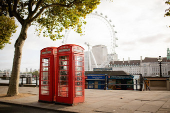 英国电话展位树伦敦眼睛背景