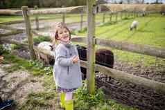 女孩喂养棕色（的）羊肉木线栅栏农场