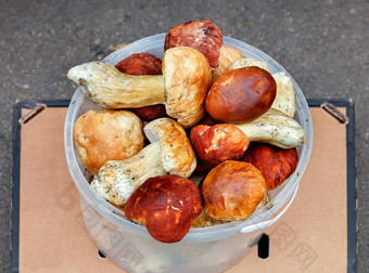 群porcini蘑菇塑料桶计数器街市场特写镜头